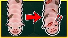 【貪食蛇】可憐的豬豬！！被咬到皮開肉綻的！？Wormax2.io