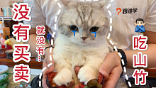 没有买卖，就没有伤害！喵：求求你们放过我的小“山竹”吧！！！