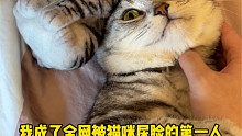 全网被猫咪尿脸第一人