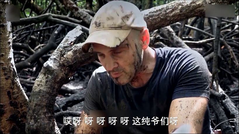 挨饿-搜索-专找直播-虎牙直播
