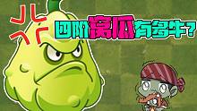 植物大战僵尸：四阶窝瓜有多牛？PVP的炮灰，PVZ的神坑！
