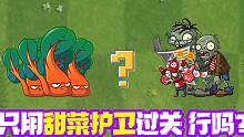 植物大战僵尸：只用甜菜护卫过关？僵尸表示非常憋屈