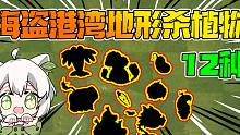 植物大战僵尸：秒杀10阶僵尸！盘点海盗港湾完美地形杀植物