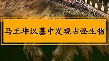 马王堆汉墓中发现奇特生物，专家看后一脸惊骇！ #生物 