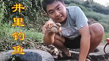 在废弃的古井里面钓鱼，结果钓出了个螃蟹，这真的太意外了！