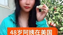 美国农村种水果，反正自己吃不完。 #水果 #果农不易 #花牛苹果