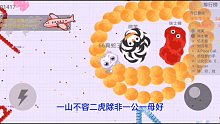 贪吃蛇大作战：一网打尽两条蛇王，他们不想看到的事情还是发生了