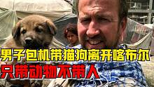 英国男子将200只猫狗带离喀布尔，只带动物不带人遭外界抨击