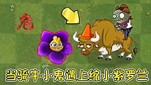 植物大戰殭屍：騎牛小鬼遇上縮小紫羅蘭，牛牛向前衝！