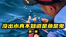 大连海钓，没出水的东西真不知道是鱼是鬼。第一集