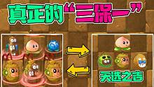 植物大战僵尸：这才是真正的三保一战术！“天选之吉”，不是盖的！