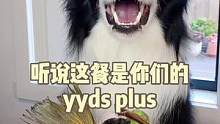 小熊猫的yyds plus版发布啦！你们说yyds还有啥?#抖音动物图鉴 #爱沃克yyds 