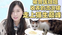 戴医僧救助的濒死流浪猫有多幸福？用国产猫粮给它做一个生日蛋糕！