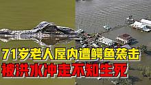 美国71岁老人遭鳄鱼袭击咬断手臂，随后被洪水冲走不知生死