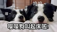 “起来了吗？玩球啦！”