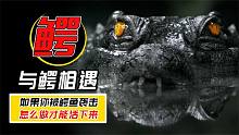如果我们被鳄鱼袭击，怎么做才能活下来，我们能打的过它吗？