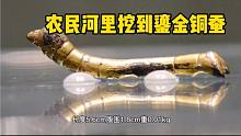 陕西农民河里挖沙子，不小心挖到鎏金铜蚕，专家鉴定为一级文物