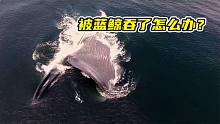 被蓝鲸吞了怎么办？不要慌，涛哥教你这样做！