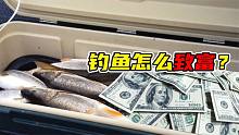 钓鱼怎么致富？神奇的波特兰，光钓鱼就能赚大钱！