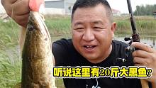 听说这里有20斤的巨型黑鱼？十万亩雷场随便钓！