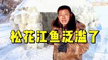 气温回升，松花江里的鱼胃口大开，下竿就咬钩
