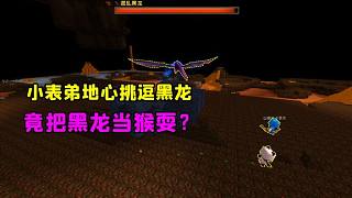 迷你世界荒島生存62：大表哥小表弟地心挑逗黑龍？竟遭到野人圍攻