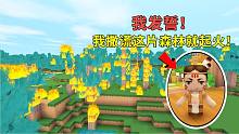 迷你世界荒岛生存16：小表弟的一个谎言，却引起了整片森林着火？