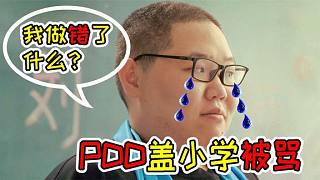 PDD被網(wǎng)友質(zhì)疑捐贈金額夸大？知道真相的褲子捐出了視頻收益