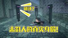 悟空说游：末影人的真实身份，原来小黑以前这么厉害！