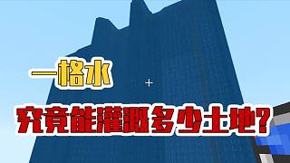 悟空說游：一格水究竟能灌溉多少土地？數(shù)學(xué)不好MC都玩不了！