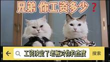 铁铁们 知道该怎么对老板说话了吗？#萌宠 #抖音动物图鉴