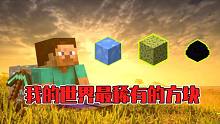 悟空说游：我的世界罕见的五大方块，想要得到它系统都会崩溃！