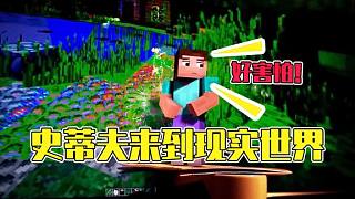 悟空說(shuō)游：史蒂夫一覺(jué)睡醒穿越到現(xiàn)實(shí)世界，而且不愿意回去了？