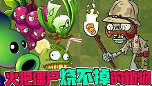 植物大战僵尸：有哪些植物是火把僵尸烧不掉的呢？菠萝蜜又上榜？