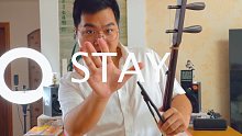 【陆二胡】stay【人类高质量二胡】