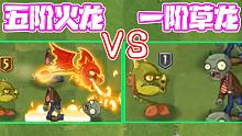 植物大战僵尸：一阶草龙！五阶喷火龙！这就是陈贝贝和粉丝的差距吗？