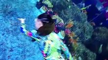 #大明湖海底世界 #潜水女孩 #海洋馆打卡