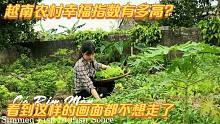 越南幸福指数有多高？看到这样画面都不想走了，难怪都说妹子勤快