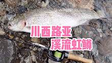 成都近郊就能钓到这么大体型虹鳟鱼？别不信，看光哥带你玩