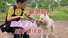 田园犬敏感被打到咬人纠正第一集