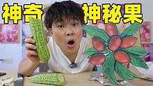 号称能把酸味食物变成甜味的果子，网传“神秘果”是真是假？