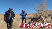 养狼的人当真不一般！带两只狼就往沙漠深处走，不怕遇到猛兽吗？