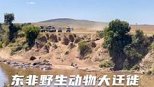 环球旅行776天：角马过河真是难，河里都是鳄鱼跟河马啊，太危险