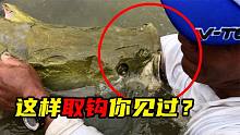 这样取鱼钩你见过？整个手臂都伸进去，真怕这一嘴下来手就没了！