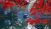 舟荡青波间， 枫红染霜天。 将此作春色， 何计少云烟。