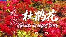 许你入阳，万丈光芒，诗不一定要到远方，景也可能在你身边，余杭千亩杜鹃盛开，等你归来。#余杭平天堂#杜