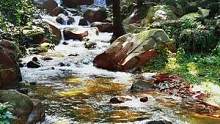 碧水悠悠云外天，日照山青际无边，哪时我要是主人，可把轮回放眼前。#行走山水间 #山涧小溪 