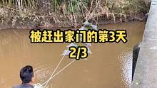 #户外钓鱼 被赶出家门的第三天，点头像看完整版！自己制作的鱼笼抓到的鱼才有灵魂！#抓鱼