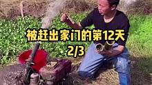 #农村生活 #抽水抓鱼 #田园生活 被赶出家门的第十二天，点头像看完整版！