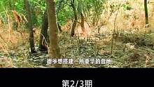 德爷教你在野外搭建豪华营地 #德爷 #贝爷 #荒野求生 #野外求生 #野外生存